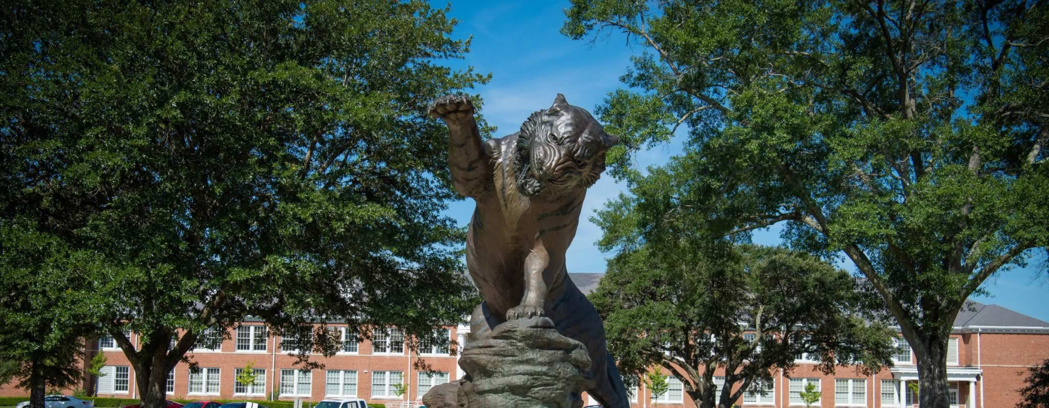 Vice President of Finance